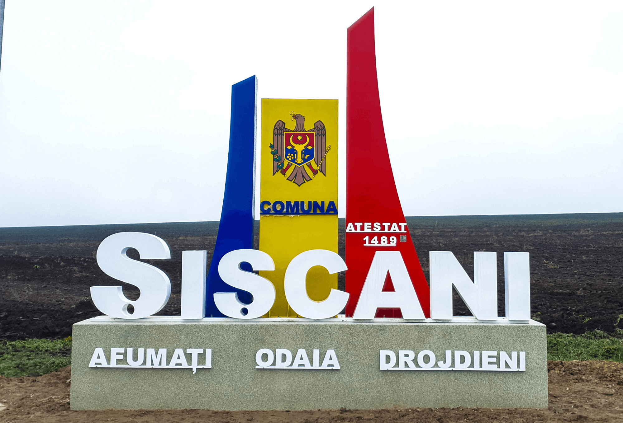 Model: Rădăcini