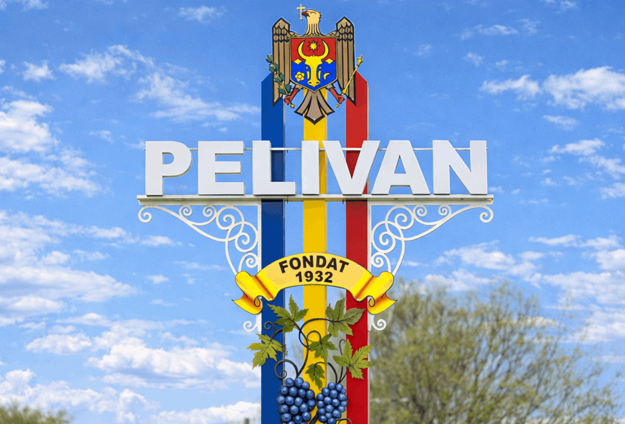 Model: Pelivan