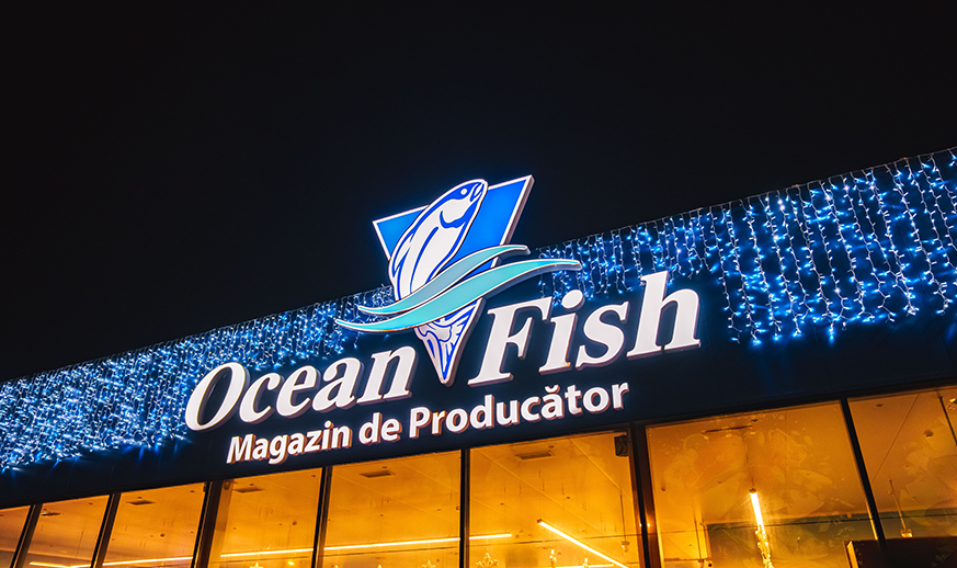 Ocean Fish