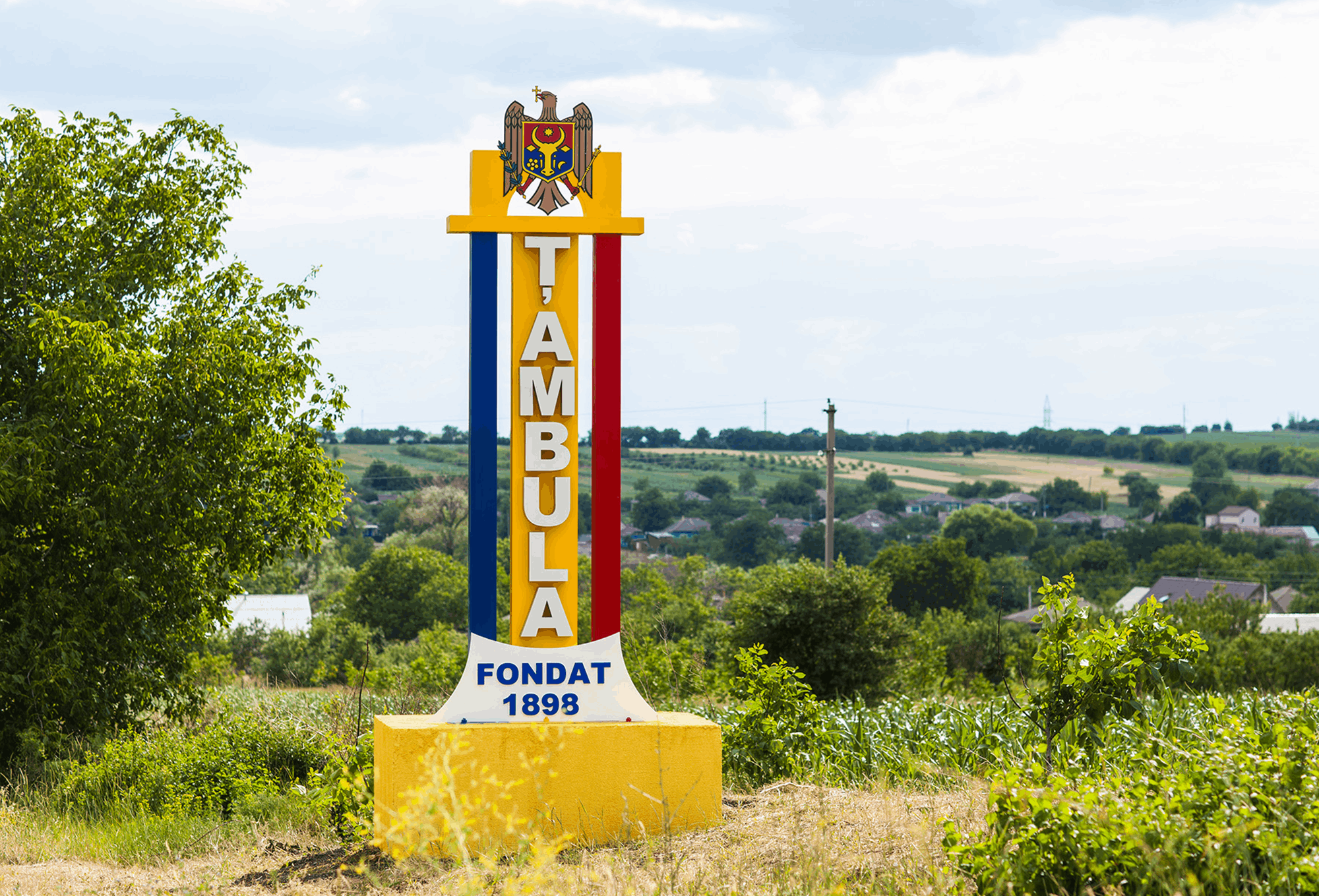 Model: Vița-de-vie