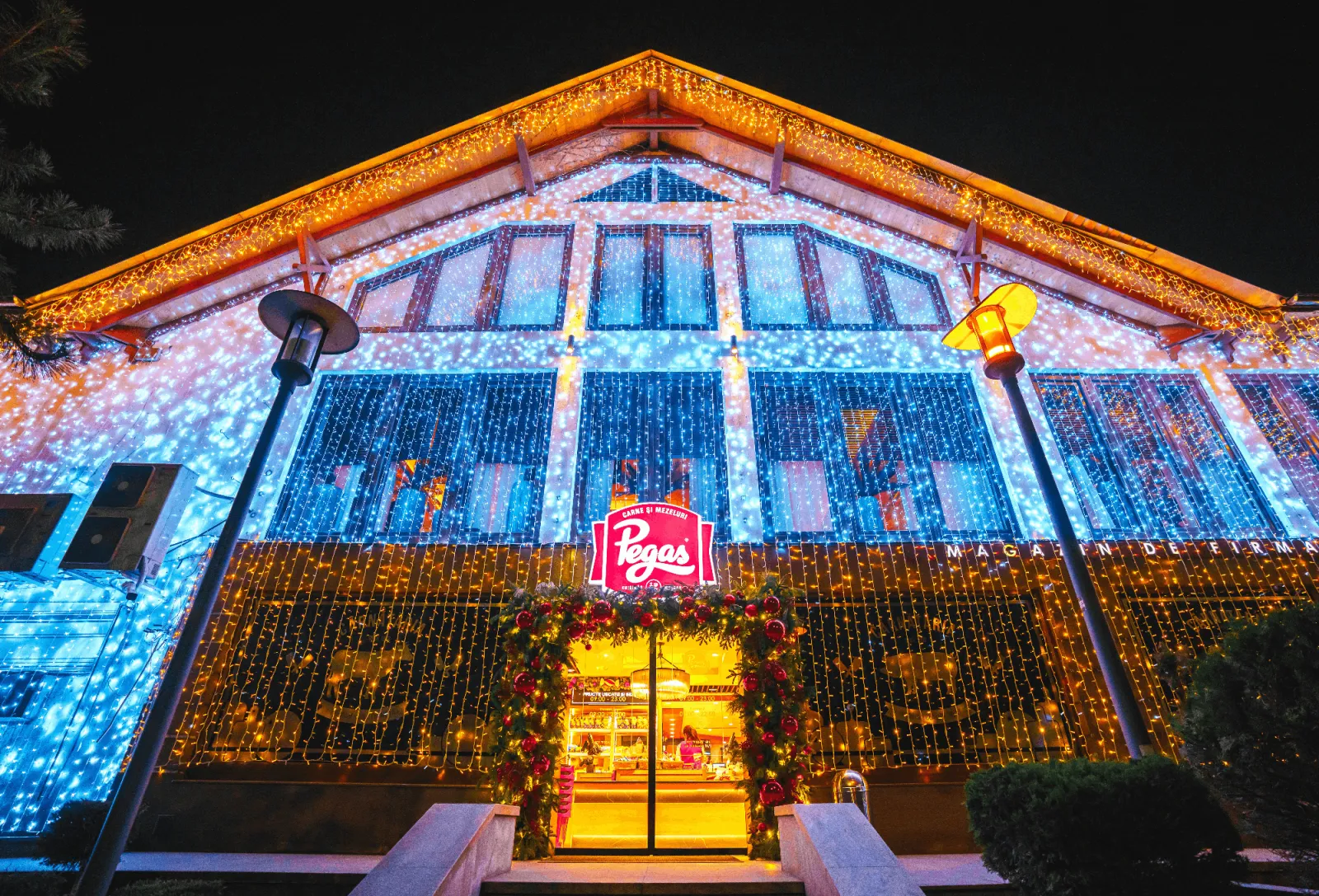 Restaurant Pegas - Decorațiuni Premium