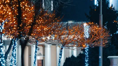 Ghirlandă Fir Unicolor Profesională p/u Uz Exterior