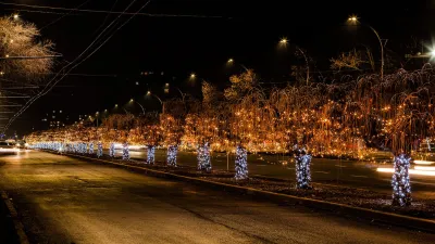 Ghirlandă Fir Bicolor Semiprofesională 240 Volt
