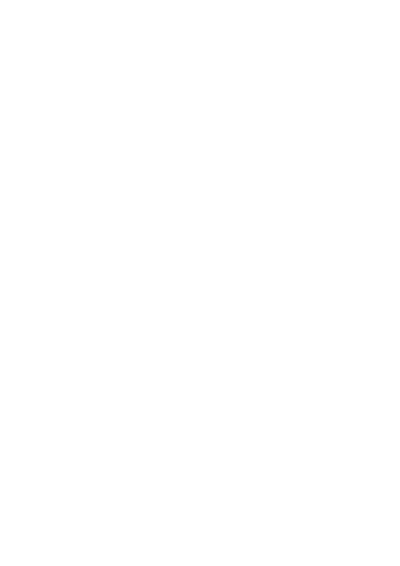 Decorațiuni p/u Stâlpi