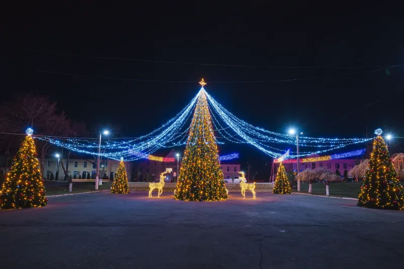 Târguri de Crăciun — foto 25