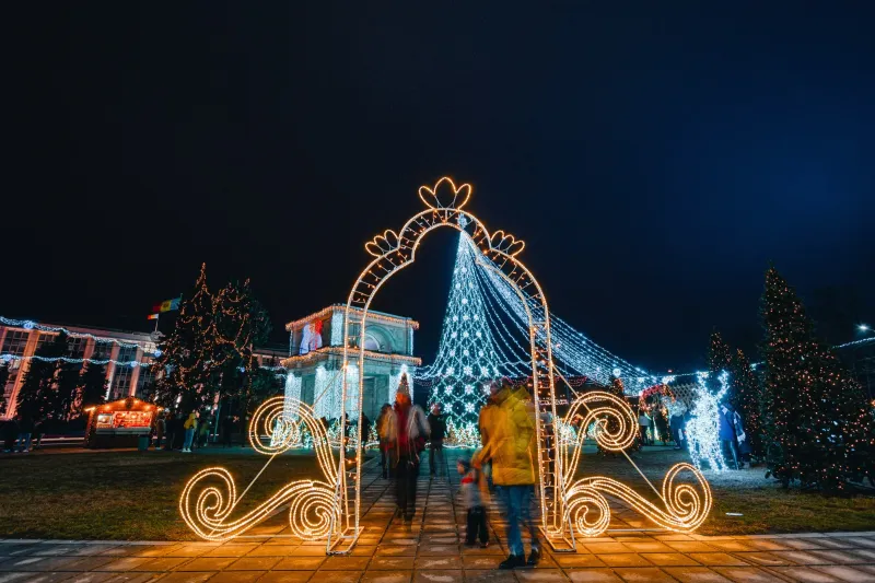Produse de iarnă — foto 15
