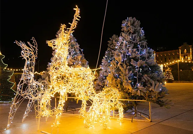Cerbi Luminoși — foto 6
