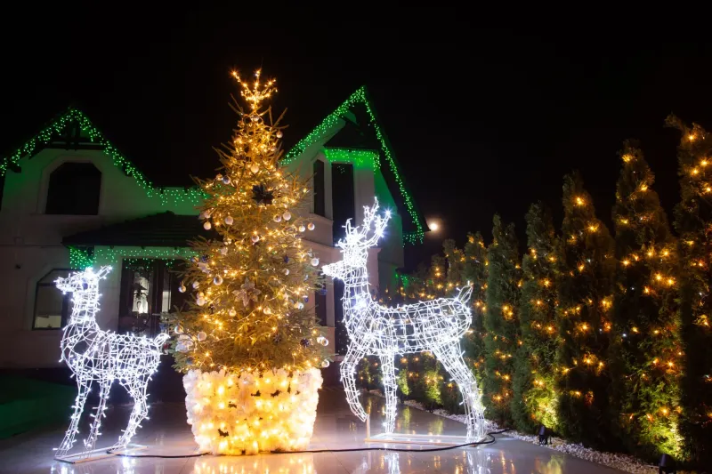 Cerbi Luminoși — foto 10