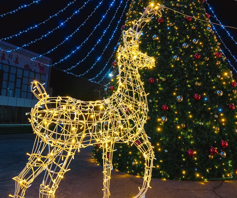 Cerbi Luminoși — foto 12