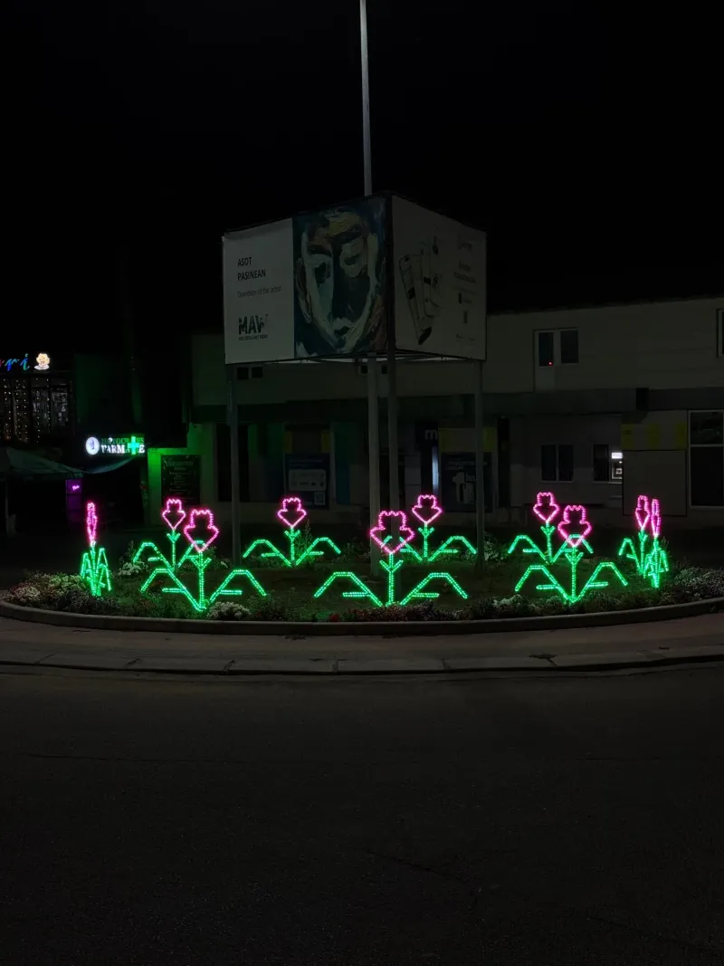 Sens giratoriu — foto 3