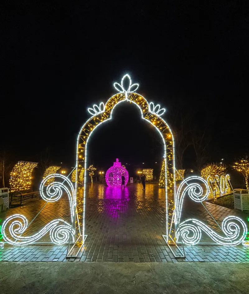 Produse de iarnă — foto 14