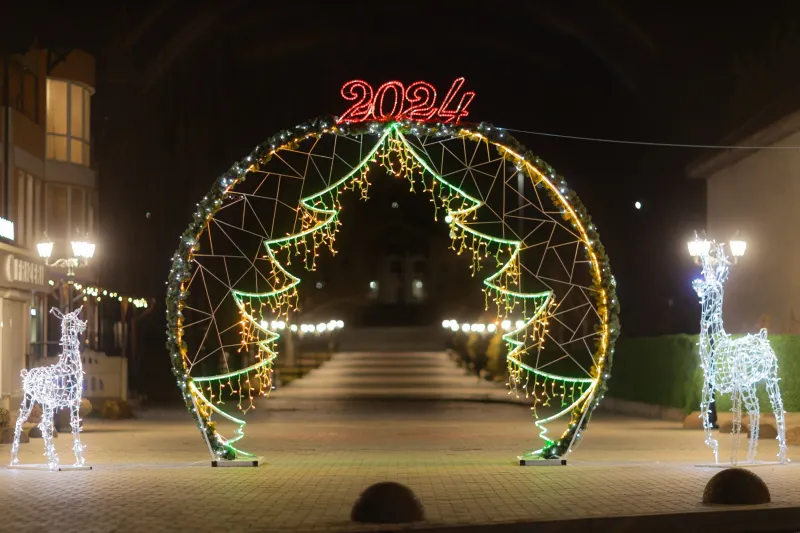 Produse de iarnă — foto 19