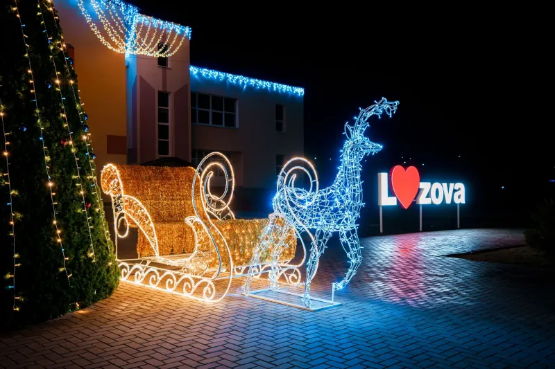 Cerbi Luminoși — foto 11