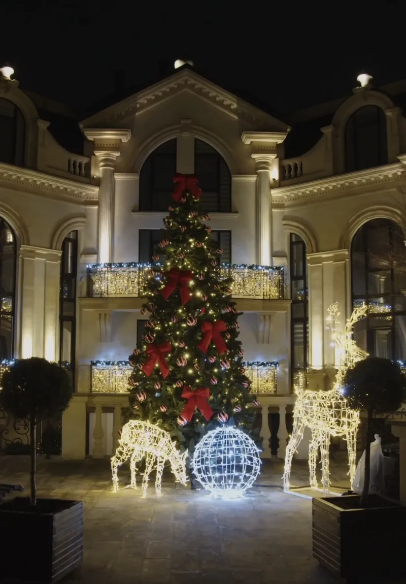 Cerbi Luminoși — foto 23