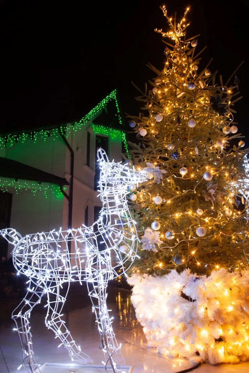 Cerbi Luminoși — foto 13