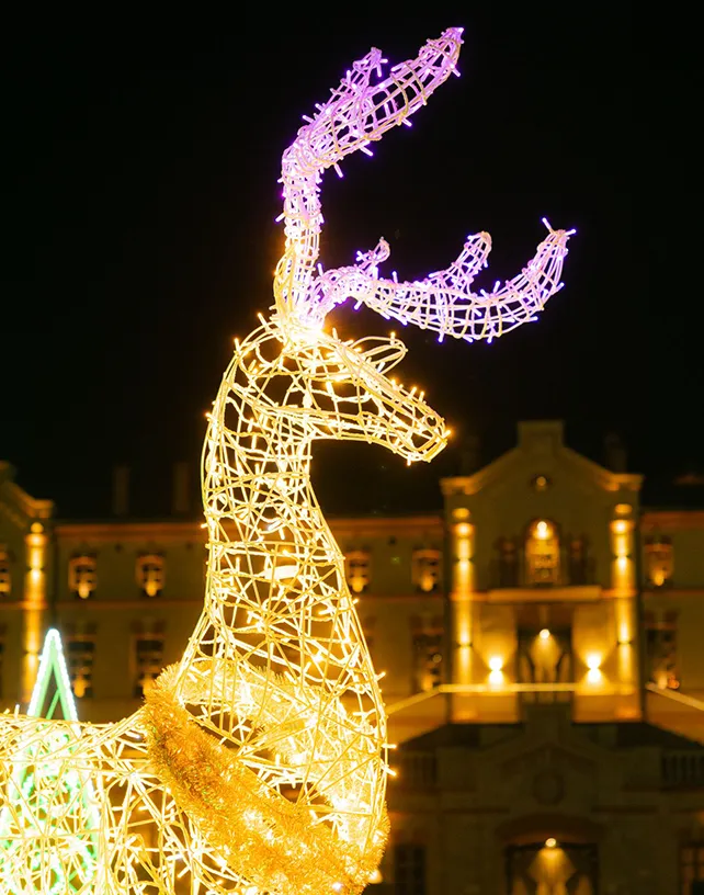 Cerbi Luminoși — foto 3