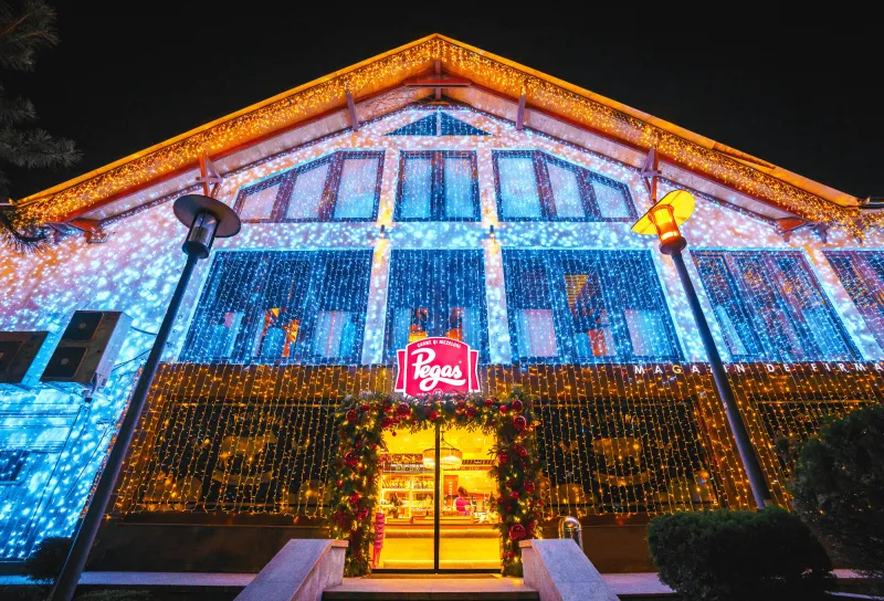 Restaurant Pegas - Decorațiuni Premium